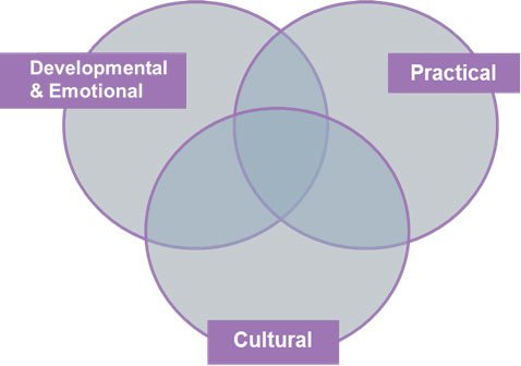Developmental & Emotional / Practical / Cultural